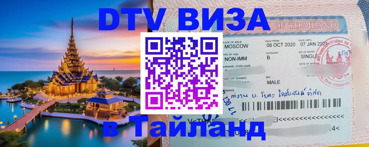 Оформление DTV визы под ключ: стоимость и тарифы, только загранпаспорт - 